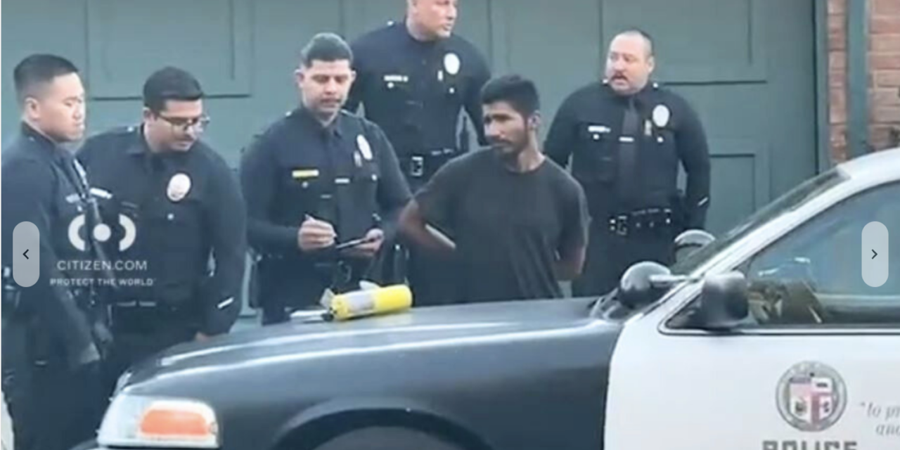 Arson suspect arrested in Woodland Hills near Kenneth Fire, Residents restrained suspect